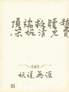 顶端救赎赵振国,宋婉清免费