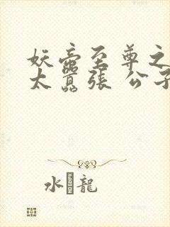 妖帝至尊之邪妃太嚣张 公子安爷