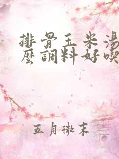 排骨玉米汤放什么调料好吃