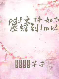 pdf文件如何压缩到1m以内