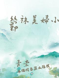 丝袜美妇小说章节