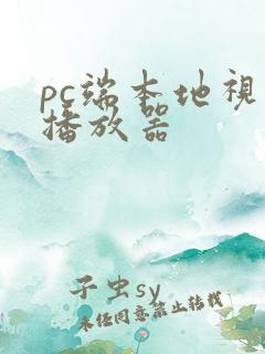 pc端本地视频播放器