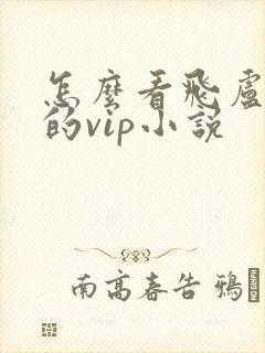 怎么看飞卢小说的vip小说