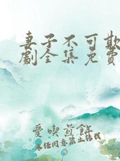 妻子不可欺电视剧全集免费观看