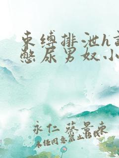 束缚排泄h调教憋尿男奴小说
