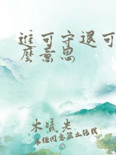 进可守退可攻什么意思