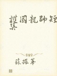 护国龙帅短剧全集