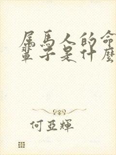 属马人的命运一辈子是什么命