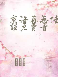 京洛再无佳人小说免费看