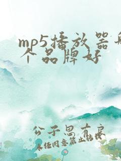 mp5播放器哪个品牌好