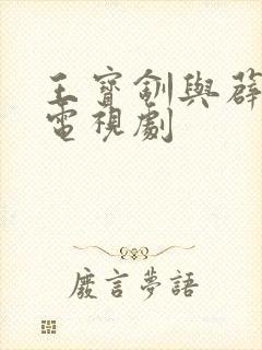 王宝钏与薜平贵电视剧