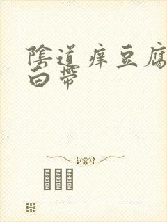 阴道痒豆腐渣状白带