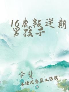 16岁叛逆期的男孩子