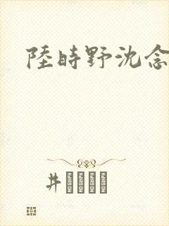 陆时野沈念小说