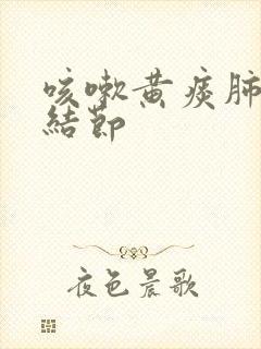 咳嗽黄痰肺上小结节