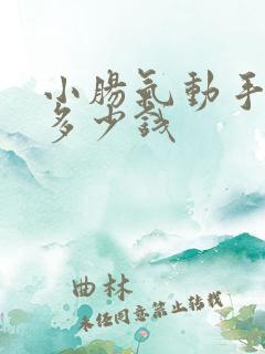 小肠气动手术要多少钱