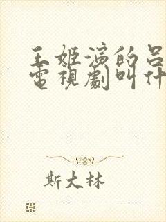王姬演的吕雉的电视剧叫什么名字