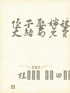 侄子娶婶娘小说大结局免费阅读无弹