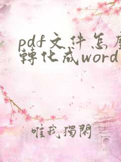 pdf文件怎么转化成word文件