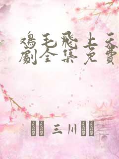 鸡毛飞上天电视剧全集免费星辰影院