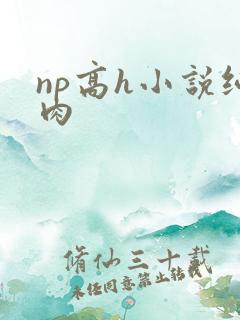 np高h小说纯肉