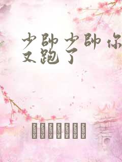 少帅少帅你老婆又跑了
