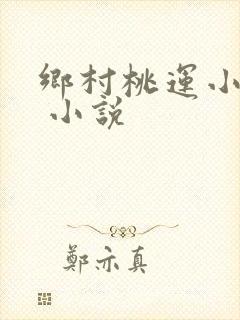 乡村桃运小神医 小说