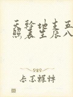 天干地支五行对照表生辰八字