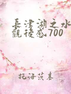 长津湖之水门桥观后感700
