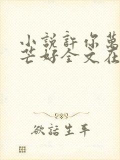 小说许你万丈光芒好全文在线阅读