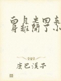 白月光回来后替身离开了小说