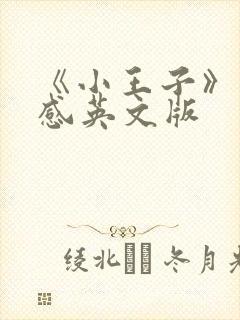 《小王子》读后感英文版