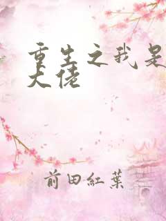 重生之我是网文大佬
