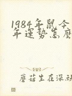 1984年鼠今年运势怎么样