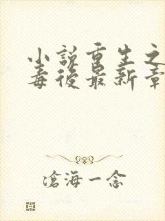 小说重生之将门毒后最新章节目录