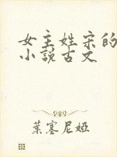女主姓宋的重生小说古文