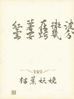 红薯在微波炉里需要烤几分钟