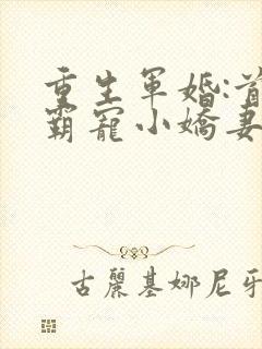 重生军婚:首长霸宠小娇妻