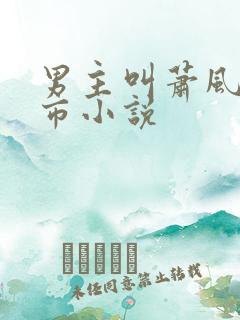 男主叫萧风的都市小说
