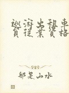 巡游出租车驾驶员从业资格