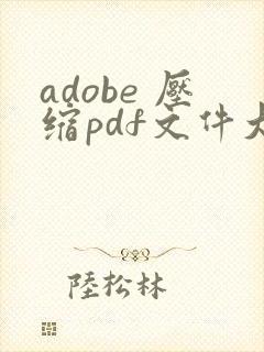 adobe 压缩pdf文件大小