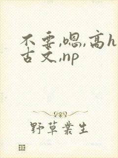 不要,嗯,高h古文,np