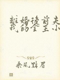 离婚后前夫成了我的金主小说