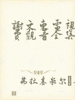 谢文东电视剧免费观看全集