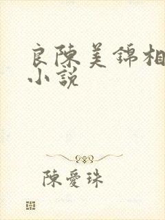 良陈美锦相似的小说