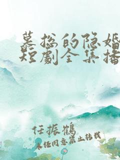 慕总的隐婚罪妻短剧全集播放