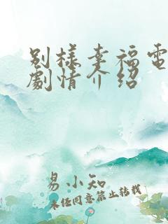 别样幸福电视剧剧情介绍