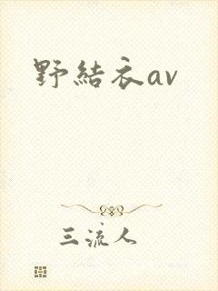 野结衣av