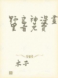 野良神漫画在哪里看免费
