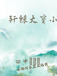 轩辕大宝小